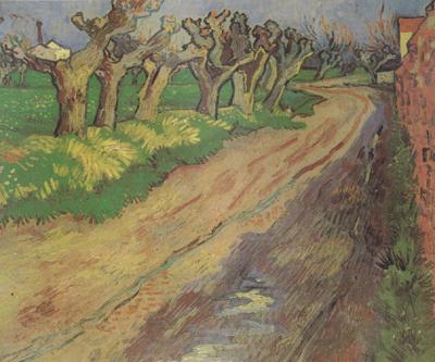 Vincent Van Gogh Pollard Willows (nn04) Germany oil painting art